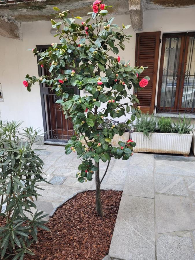 Ca' Letizia Vila Stresa Exterior foto